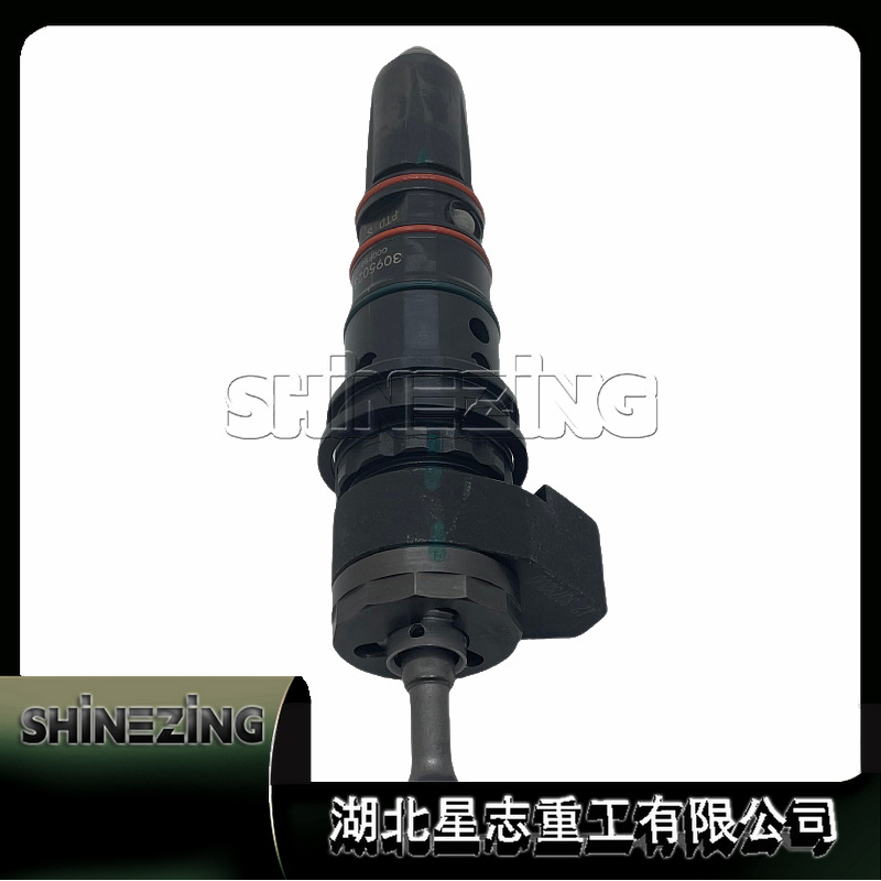 Wholesale Diesel N14 K19 Engine Common Rail Fuel Injector 3095023 - 图片 3