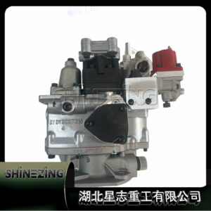 Machinery Diesel NT855 NTA855 Engine Parts Fuel Pump 3019488